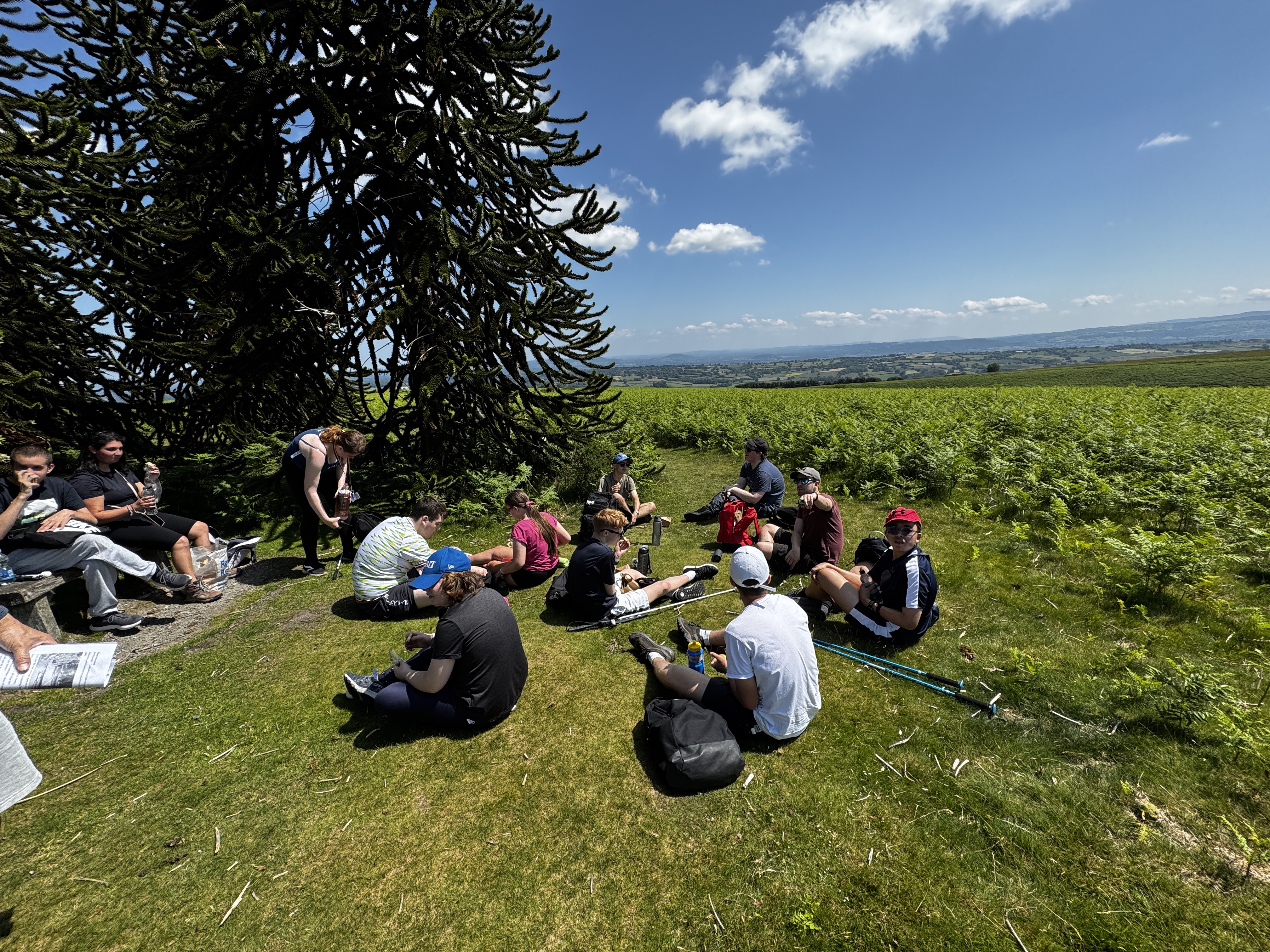 Adventures in the countryside